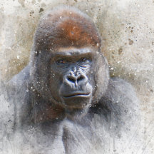 Gorilla in the Midst