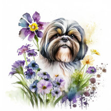 Announcements & Invitations