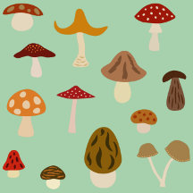 Autumn Mushrooms