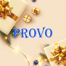 Provo_Name T-Shirt