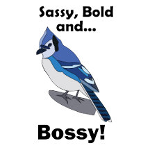 Blue Jay- Sassy Bold Bossy
