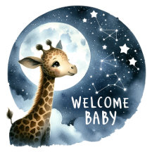 Baby Milestone Stickers