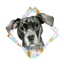 "All Ears" Pit Bull Dog Watercolor Painting