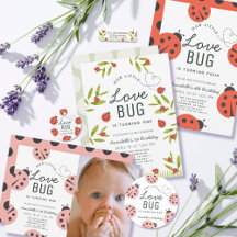 Love Bug Ladybug Birthday Collection