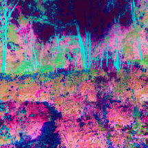 Impressionistic Purple and Hot Pink Landscape