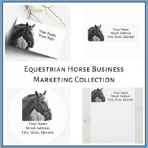 Equestrian Horse Business Marketing