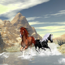 Awesome Horses