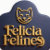 Felicia Felines