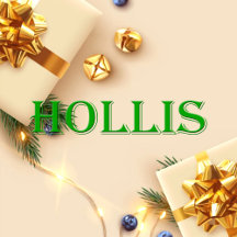 Hollis Name T-Shirt