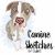CanineSketches
