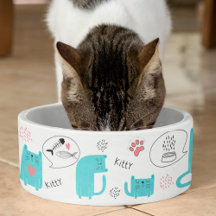 Pet Accessories & Needs