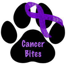 Pancreatic Cancer Awareness