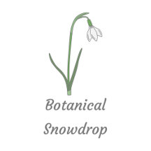 Botanical Snowdrop