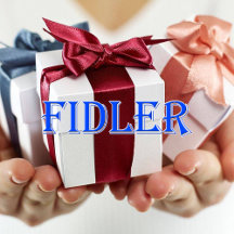 Fidler_Name T-Shirt