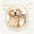 PurePawStudio