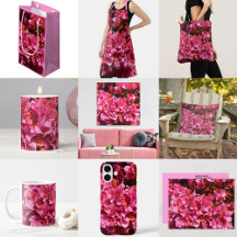 Bougainvillea Pink Tropical Vining Shrub Photo