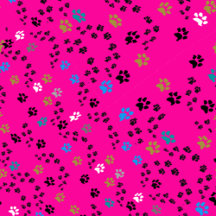 Fashion footprint pet lovers