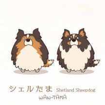 シェルたま <Shetland Sheepdog>