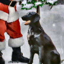 Flat-Coated Retriever Christmas 2