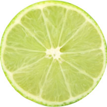 Lime Fruit Fresh Slice