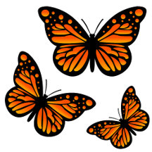 Monarch Butterfly Design - Part 2