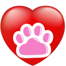 keep calm and love animals