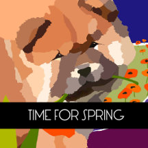 TIME FOR SPRING