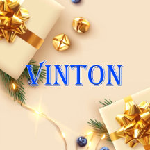 Vinton_Name T-Shirt
