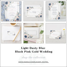 Light Dusty Blue Blush Pink Gold Wedding