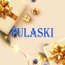 Pulaski_Name T-Shirt