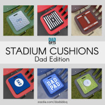 Z Discontinued Sports Stadium Seat Cushions