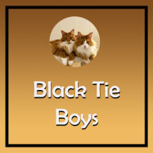 Black Tie Boys