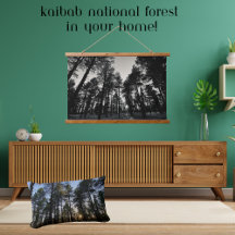 Nature Scene Kaibab Forest Sunset