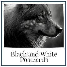 Black and White Postcards