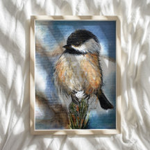 Chickadee - Black Capped Chickadee Artwork