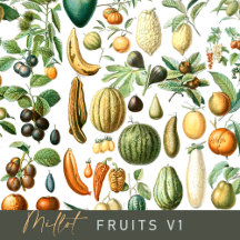 Adolphe Millot Fruits Pattern v1