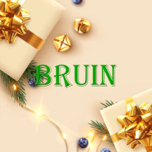 Bruin Name T-Shirt