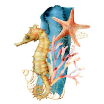 BEACH THEME VACATION RENTAL PROPERTY ITEMS