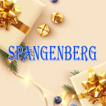 Spangenberg_Name T-Shirt