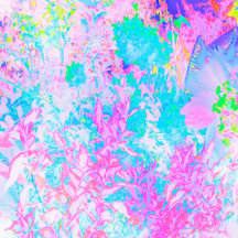 Aqua Blue and Hot Pink Hydrangea Landscape