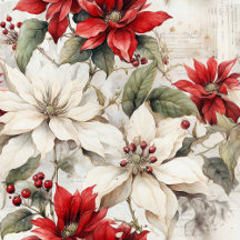Snow-kissed Elegance: White and Red Poinsettia