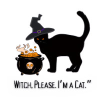    wired cat with a witch 