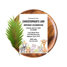 Kids Safari Jungle Animal Birthday Collection