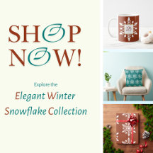 Elegant Winter Snowflake Teal