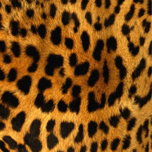 Faux Leopard Animal Skin Collection