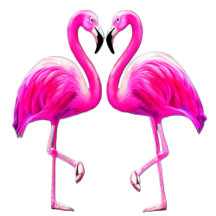 Pink flamingos In Love 