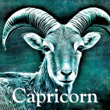 Capricorn