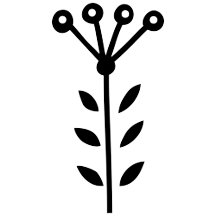 Flower Buds on Tall Stem