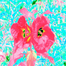 Two Rosy Red Coral Plum Crazy Hibiscus on Aqua