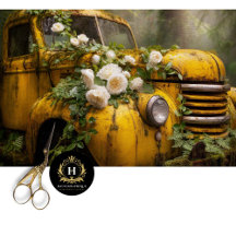 Rustic Vintage Truck Collection